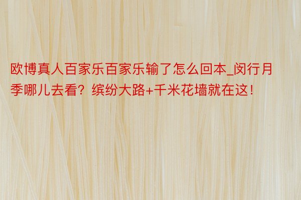 欧博真人百家乐百家乐输了怎么回本_闵行月季哪儿去看？缤纷大路+千米花墙就在这！