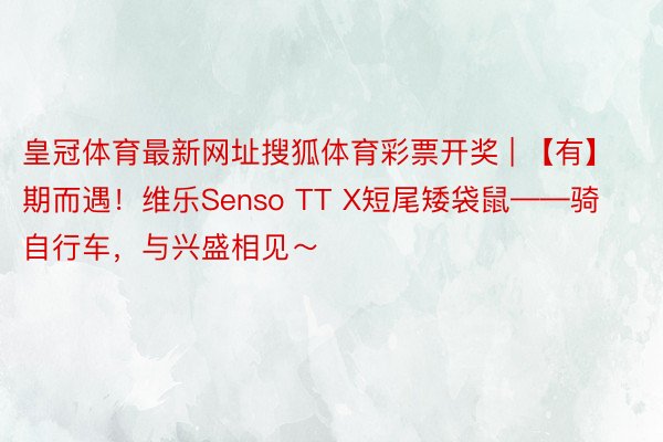 皇冠体育最新网址搜狐体育彩票开奖 | 【有】期而遇！维乐Senso TT X短尾矮袋鼠——骑自行车，与兴盛相见～