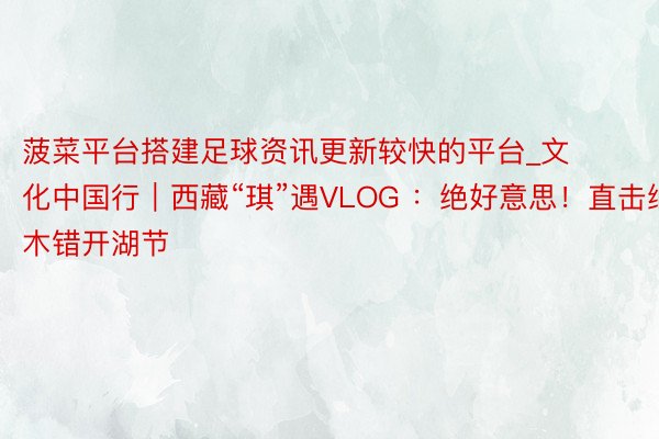 菠菜平台搭建足球资讯更新较快的平台_文化中国行｜西藏“琪”遇VLOG ：绝好意思！直击纳木错开湖节
